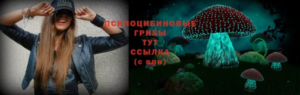 прущие грибы Алексеевка