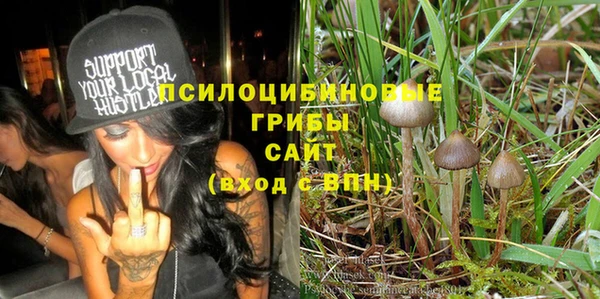 прущие грибы Алексеевка