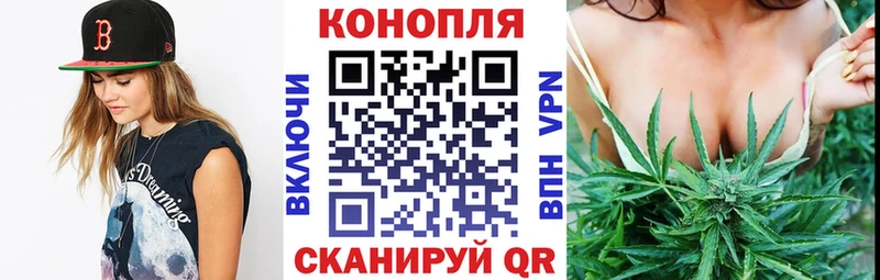 МАРИХУАНА OG Kush Жуков